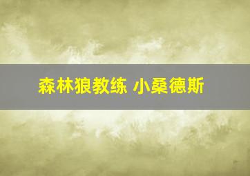 森林狼教练 小桑德斯